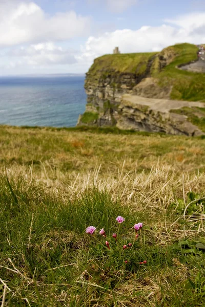Kijk op de klippen van moher, Ierland — Stockfoto