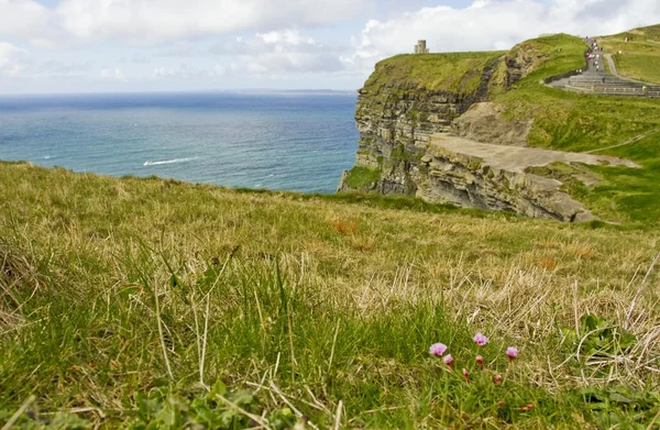 アイルランドの母の崖 — ストック写真