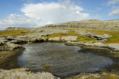 ballyreen, galway, İrlanda