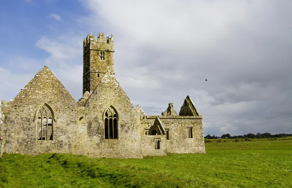 Ross friary, county galway, İrlanda — Stok fotoğraf