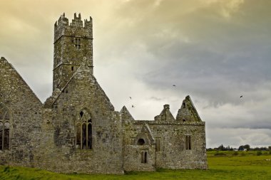 Ross Friary, County Galway, Ireland clipart