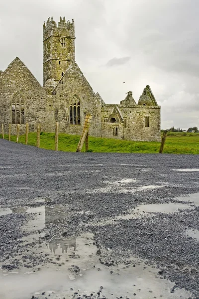 Ross friary, hrabství galway, Irsko — Stock fotografie