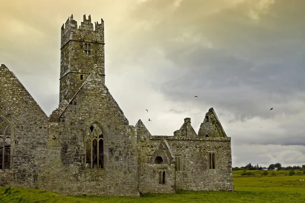 罗斯男修道院，戈尔韦郡，爱尔兰 — 图库照片