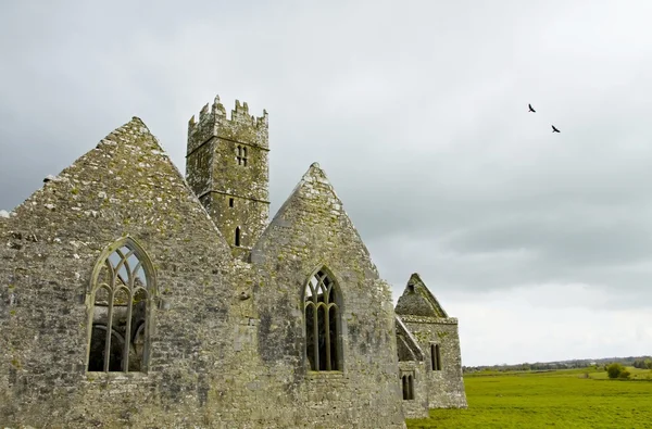 Ross klasztoru, county galway, Irlandia — Zdjęcie stockowe
