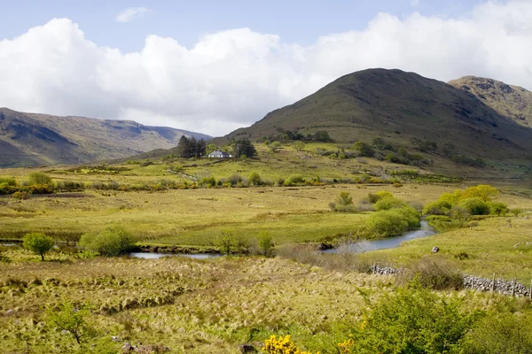 Landskapet i Irland — Stockfoto