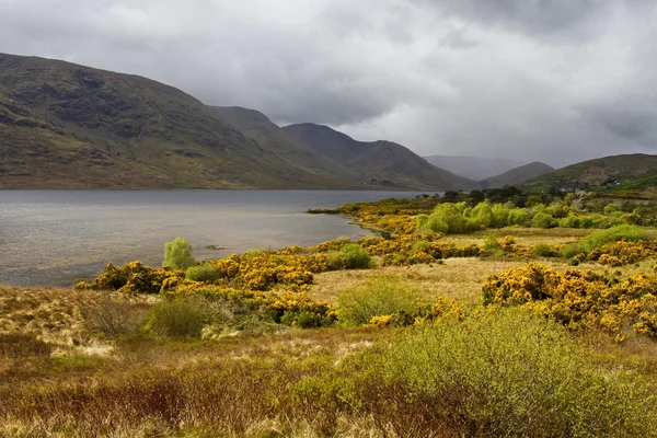 Inagh-Tal, connemara, irland — Stockfoto