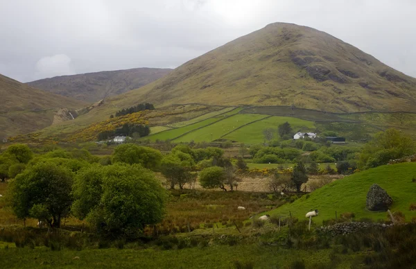 Landschaft Irlands — Stockfoto
