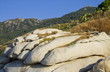 Rock formation on the island of Elba clipart