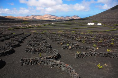 lanzarote mahzeninde