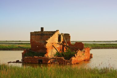 comacchio vadileri