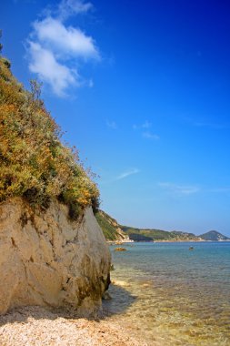 The beach of the island of Elba clipart