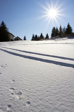 Karda ayak izleri