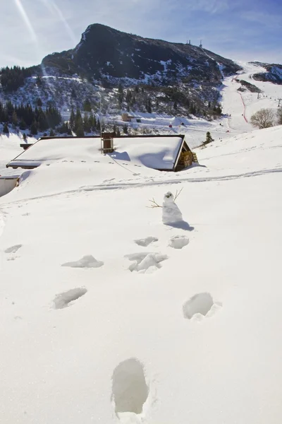 Il pupazzo di neve — Foto Stock