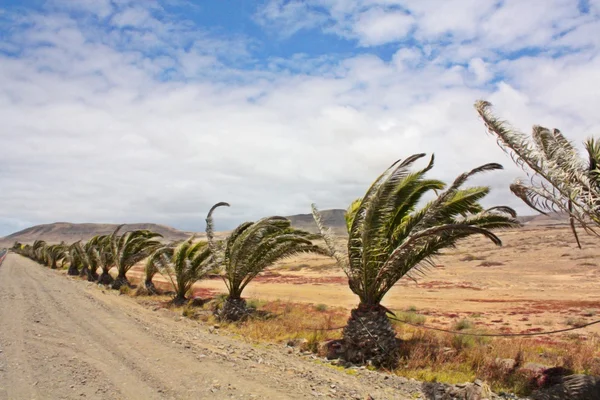 Fuerteventura landschap — Stockfoto