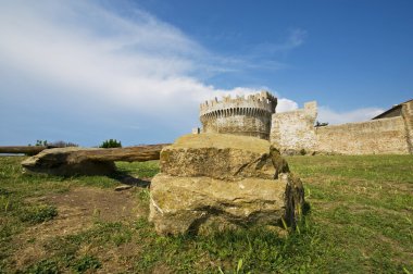 Kale populonia