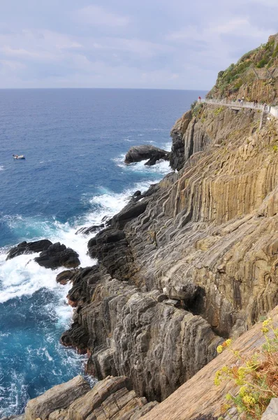 チンクエ ・ テッレ manarola の崖 — ストック写真