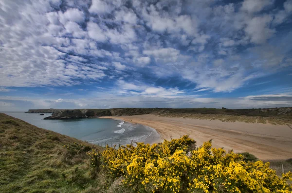 Walesiska kustlinjen — Stockfoto