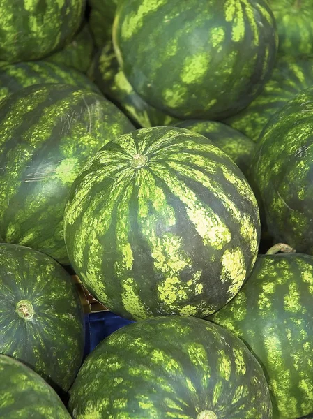 stock image Stack of Water mellon