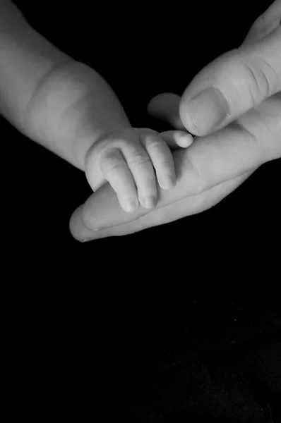 stock image Baby hand gripping Adult finger