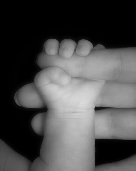 Baby mano afferrando dito adulto — Foto Stock