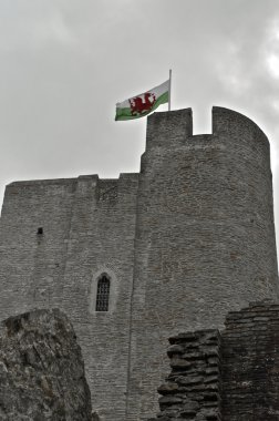 Ruin of Chepstow Castle clipart