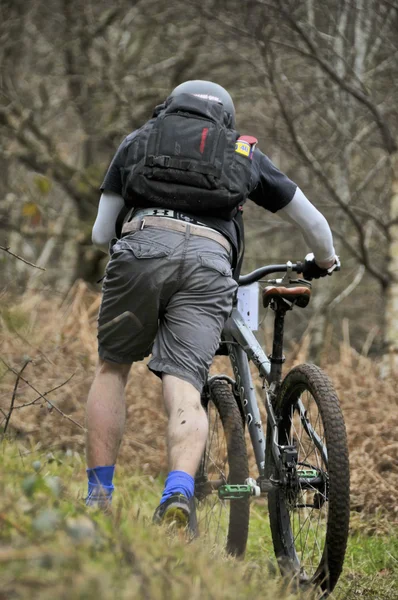 Mountain bike rider — Stock Photo, Image
