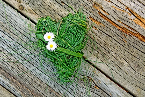 Сердце травы — стоковое фото