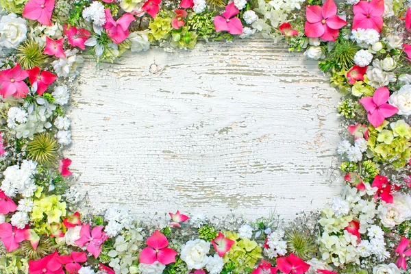 Floral border — Stock Photo, Image