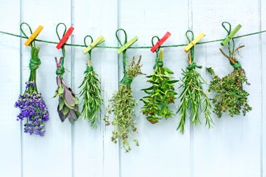 Various herbs clipart