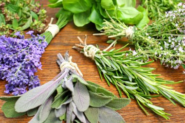 Various herbs clipart