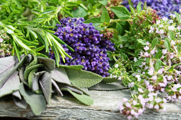 Various herbs