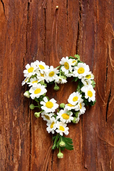Szív, virágok — Stock Fotó