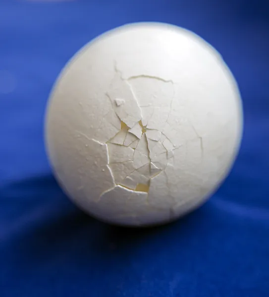 Cáscara de huevo agrietada sobre fondo azul, macro —  Fotos de Stock