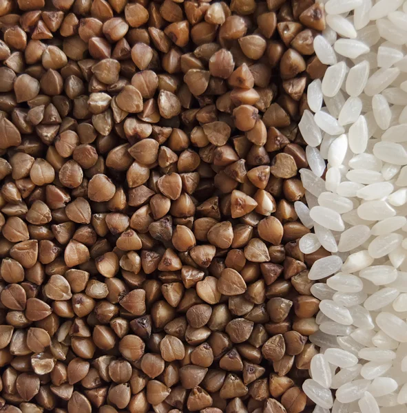 stock image Buckwheat and rice background. texture grain cut