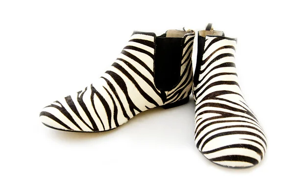 Zebra Print Shoes isolated on white background Stock Photo