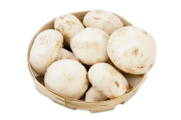 Cogumelo Champignon em cesta sobre fundo branco — Fotografia de Stock