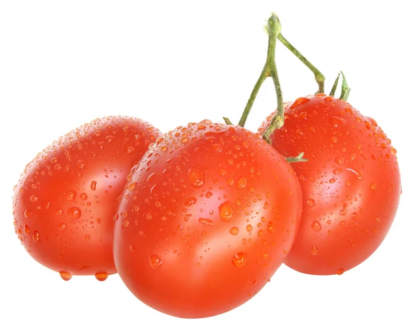 Tomaten — Stockfoto