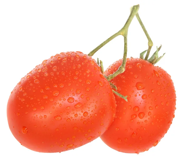 고립 된 토마토. — 스톡 사진