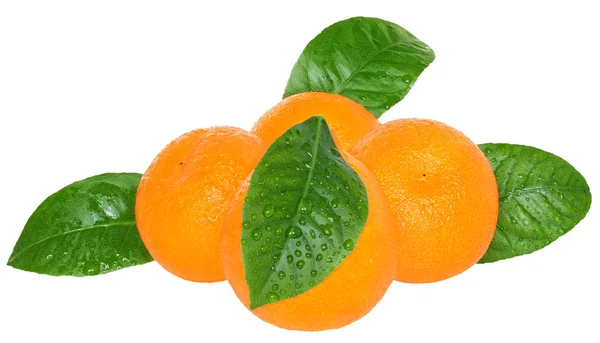 Tangerine isolerade. — Stockfoto