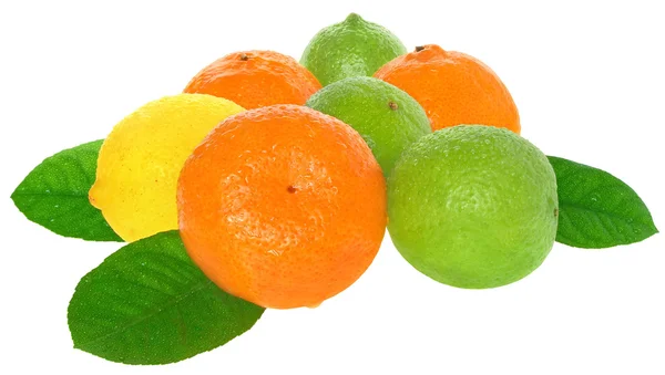 Mandarina, lima y limón aislados . —  Fotos de Stock