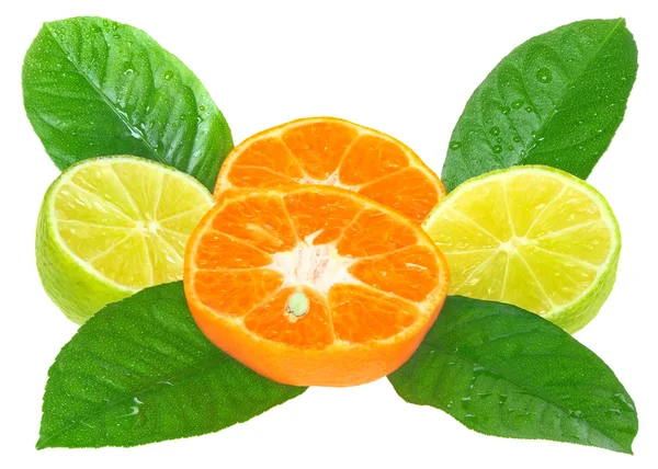 Pomarańczy i limonki — Zdjęcie stockowe