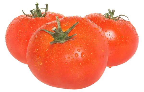 Три мокрих помідори ізольовані . — стокове фото