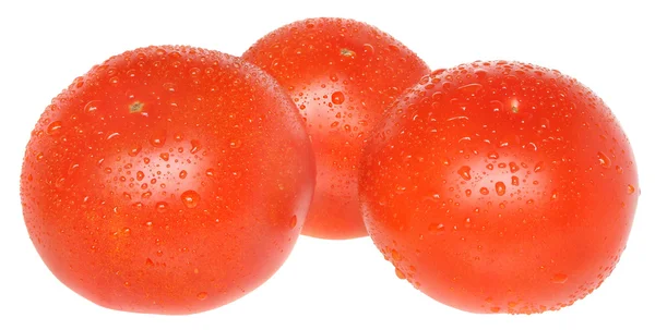 Drie tomaten geïsoleerd. — Stockfoto