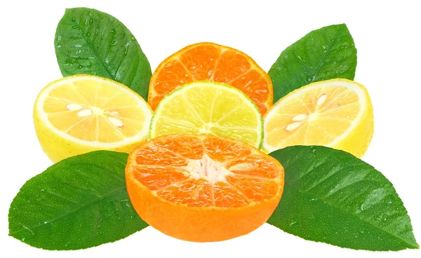 Limite di arancia, limone e lime . — Foto Stock