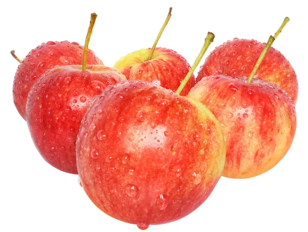 Manzanas de grupo aisladas — Foto de Stock