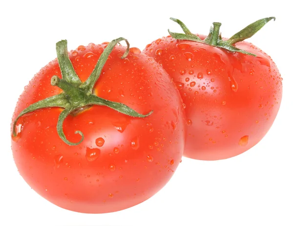 Dois tomate molhado isolado no fundo branco . — Fotografia de Stock