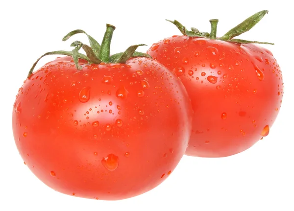 Dois tomate molhado — Fotografia de Stock