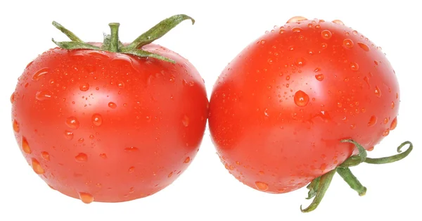 Dos tomates aislados . — Foto de Stock