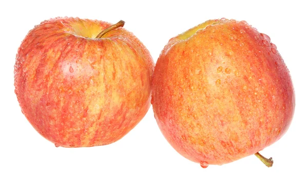 两个湿的苹果. — 图库照片