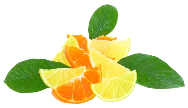 Cortes de mandarina, limón y lima — Foto de Stock